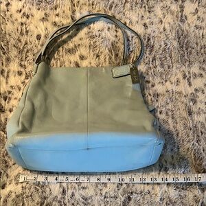 Coach Light Sage Green Leather Shoulder Bag